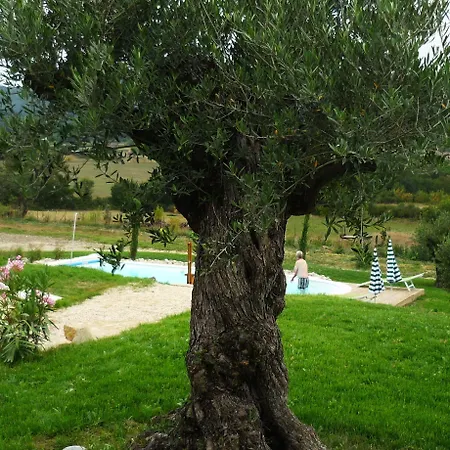 Relais De L'alsou- Piscine Labastide-en-Val